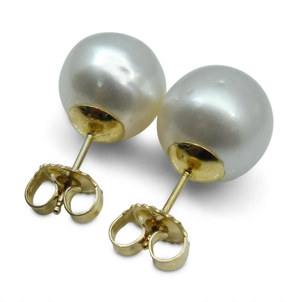 12mm White South Sea Pearl Earrings in 14k Yellow Gold