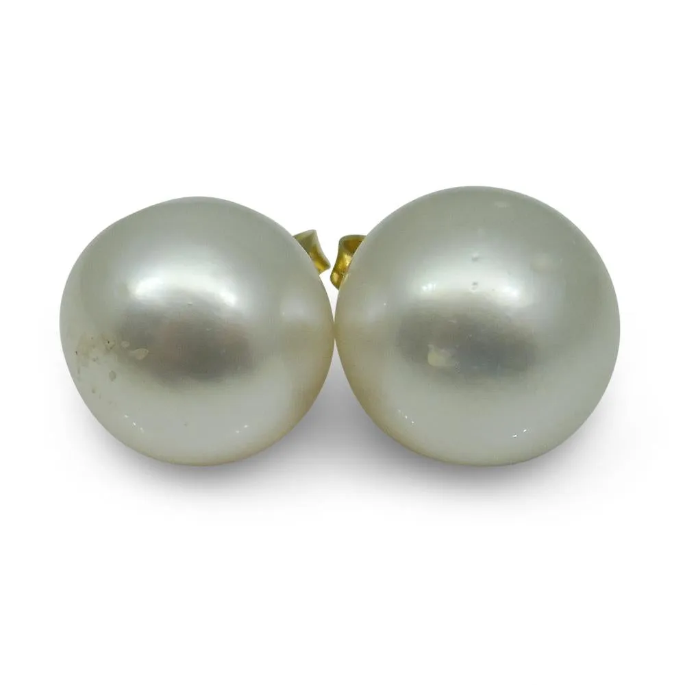 12mm White South Sea Pearl Earrings in 14k Yellow Gold