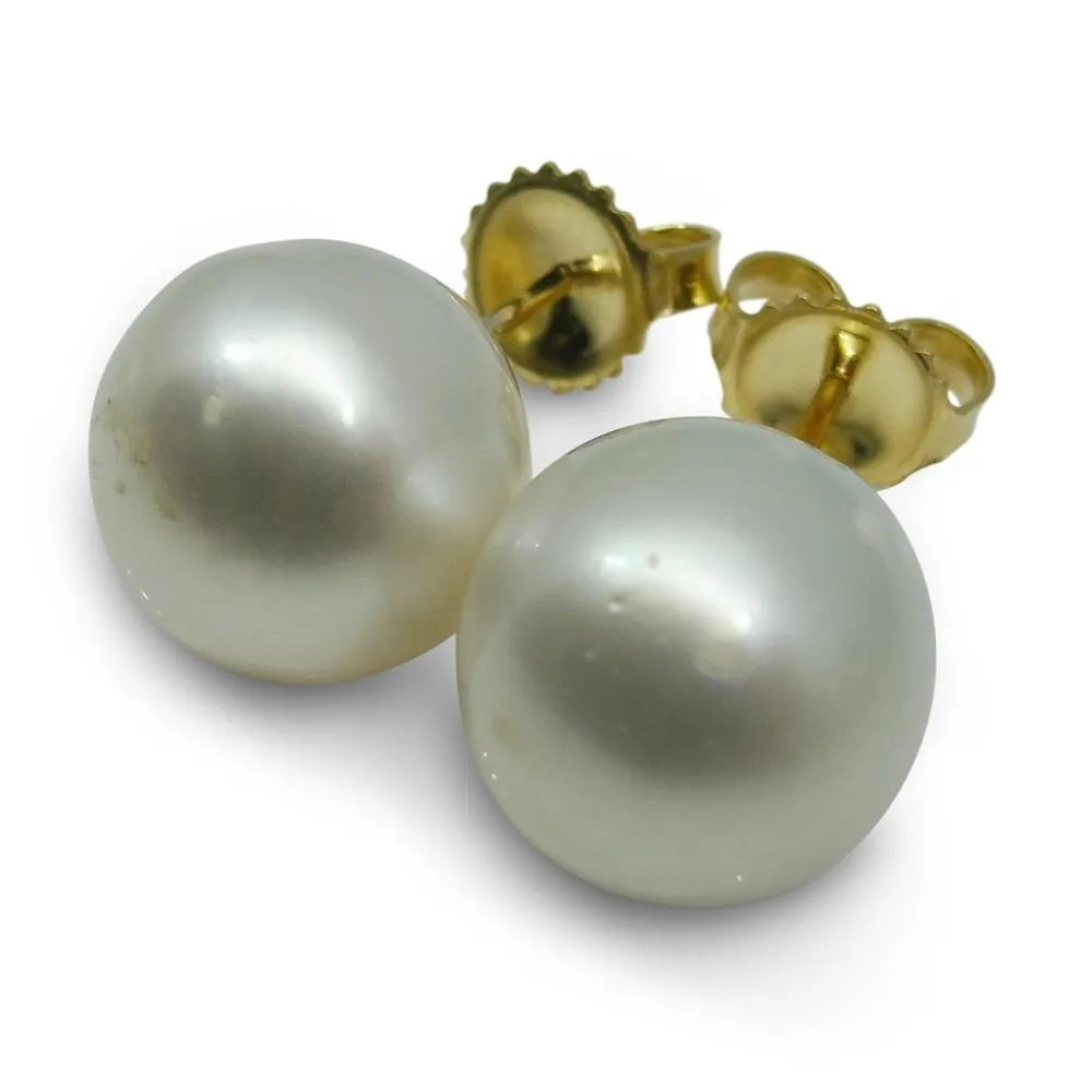 12mm White South Sea Pearl Earrings in 14k Yellow Gold