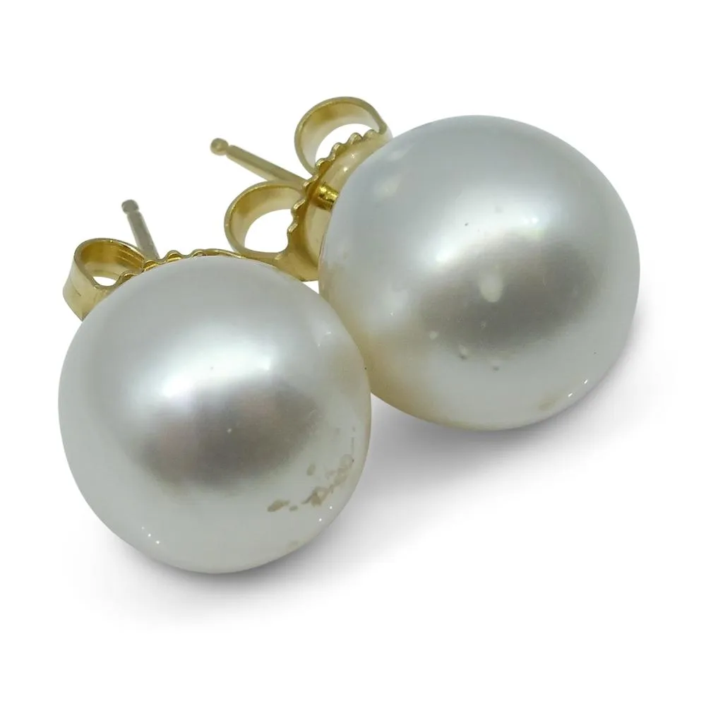 12mm White South Sea Pearl Earrings in 14k Yellow Gold