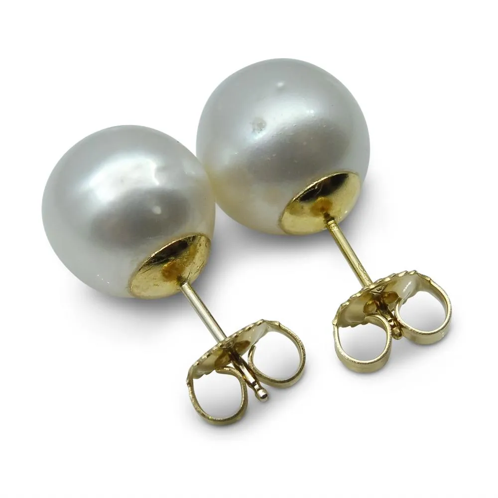 12mm White South Sea Pearl Earrings in 14k Yellow Gold