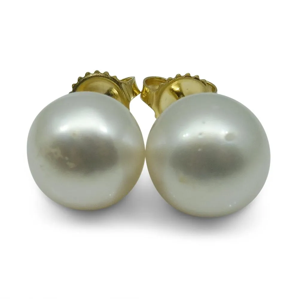 12mm White South Sea Pearl Earrings in 14k Yellow Gold
