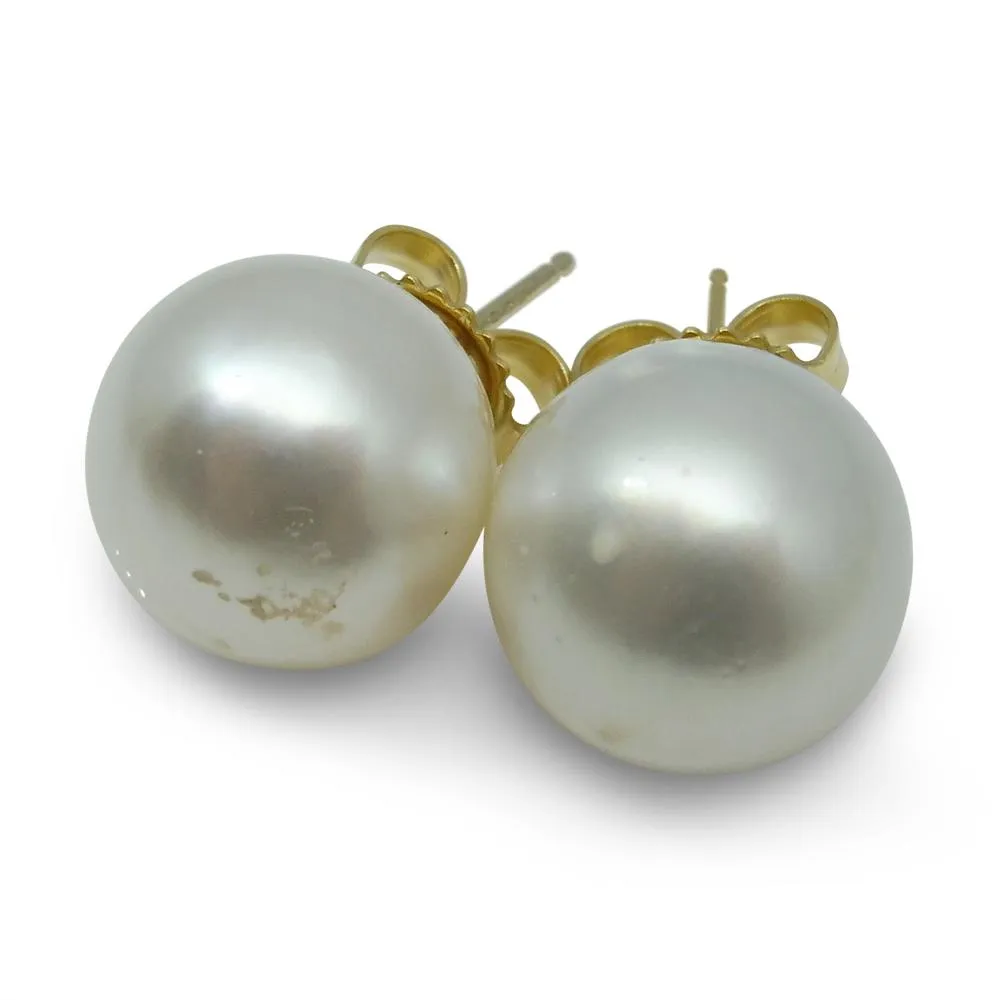 12mm White South Sea Pearl Earrings in 14k Yellow Gold