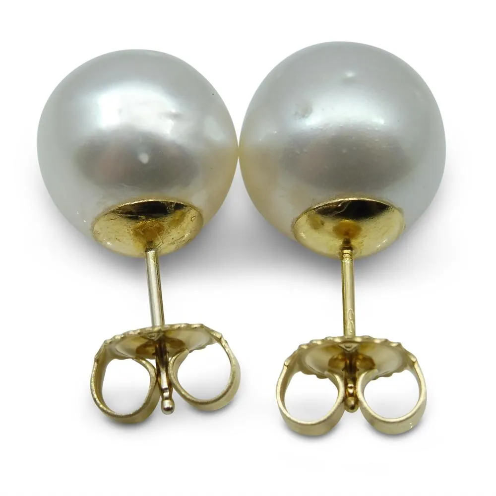 12mm White South Sea Pearl Earrings in 14k Yellow Gold