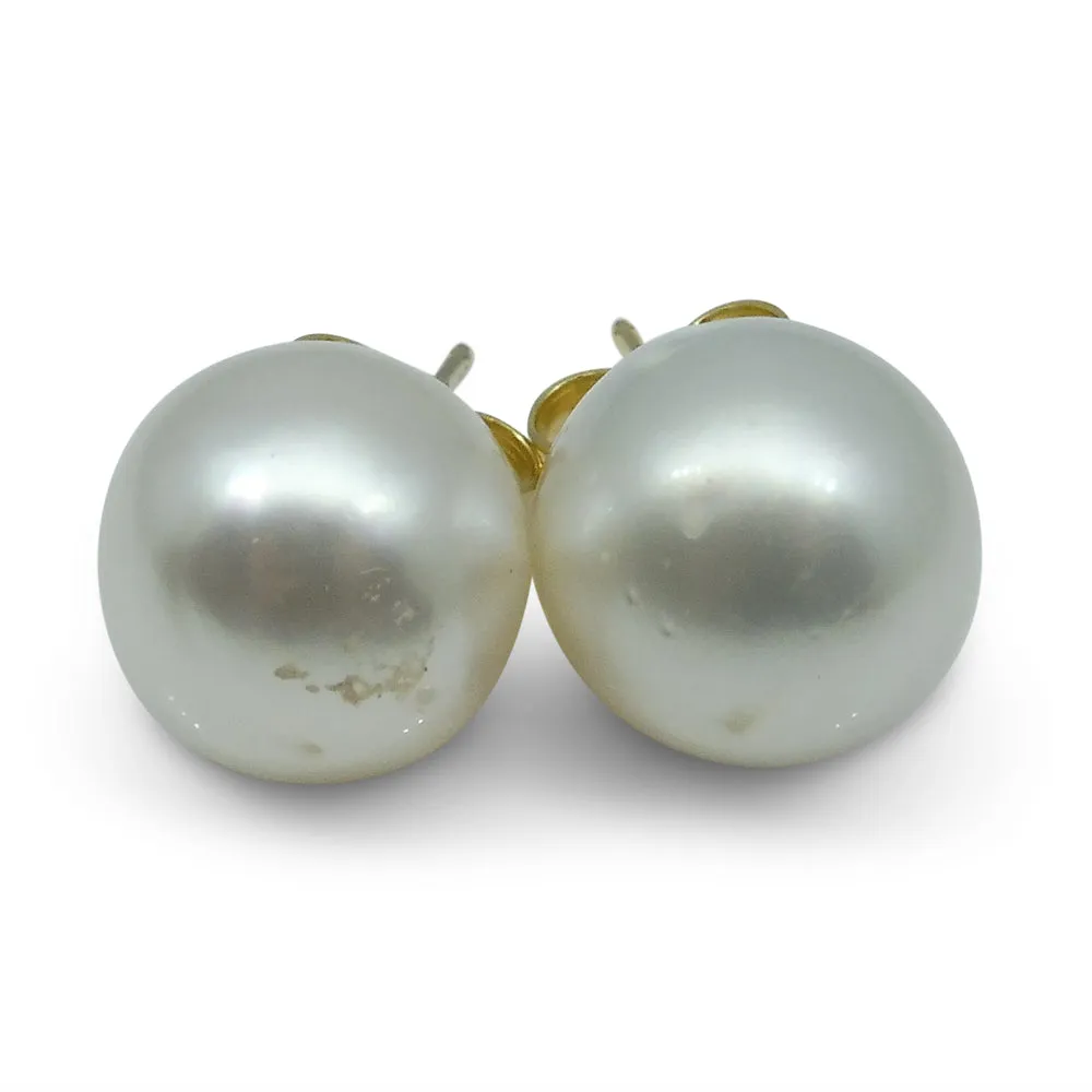 12mm White South Sea Pearl Earrings in 14k Yellow Gold