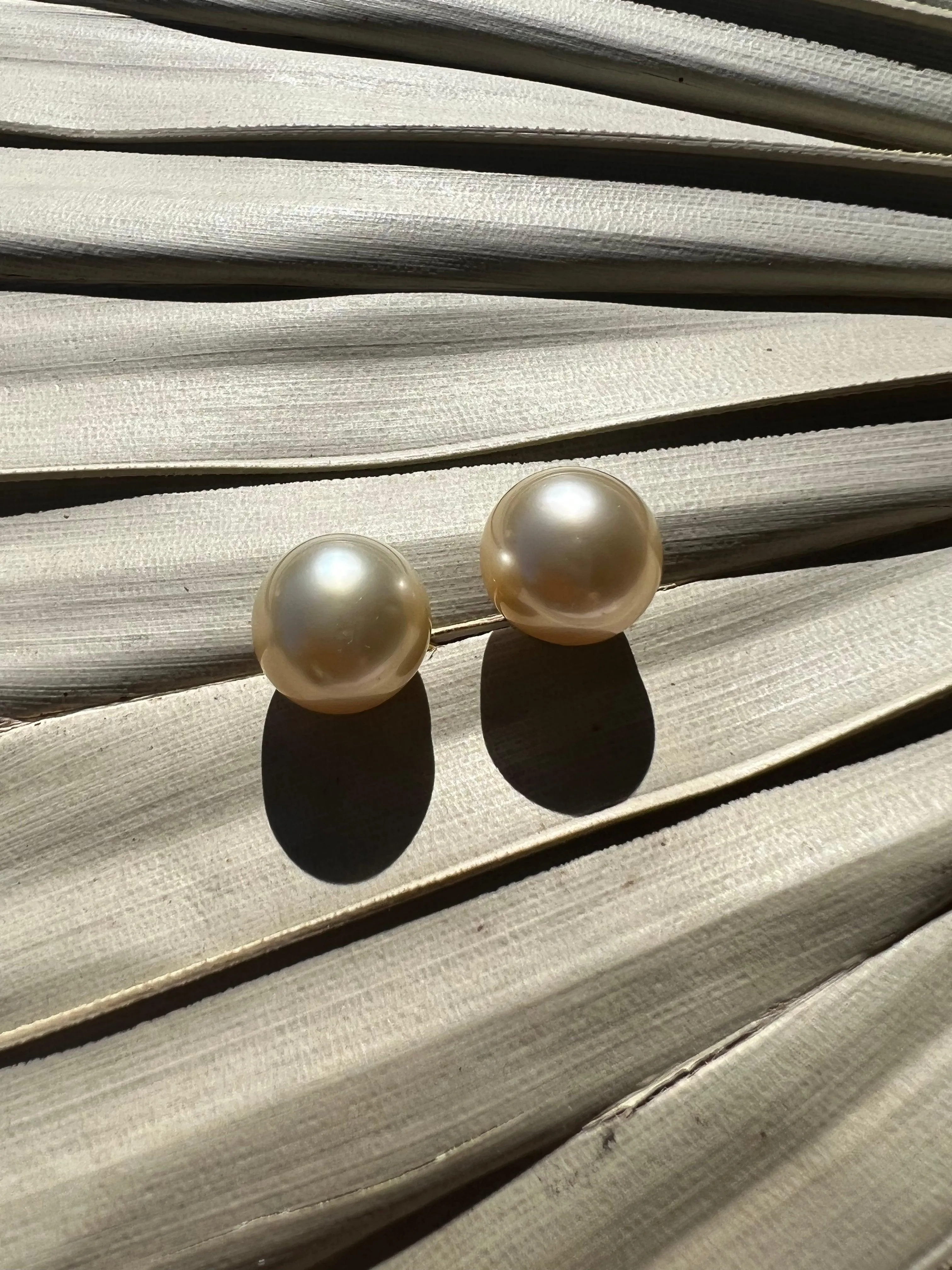 Champagne South Sea Pearl Studs