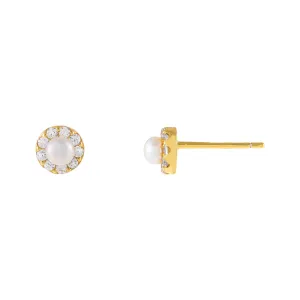 CZ Pearl Round Stud Earring