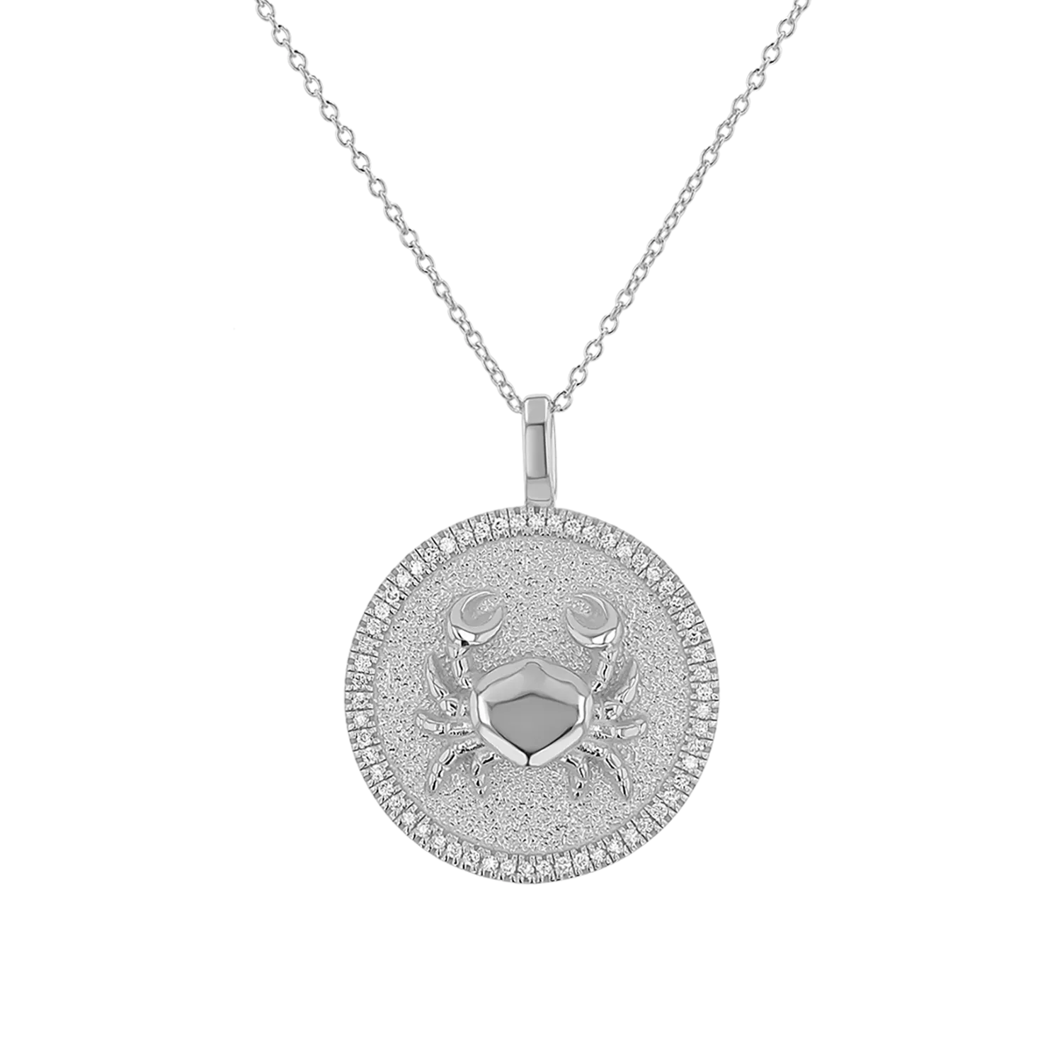 Diamond Zodiac Coin Medallion Necklace