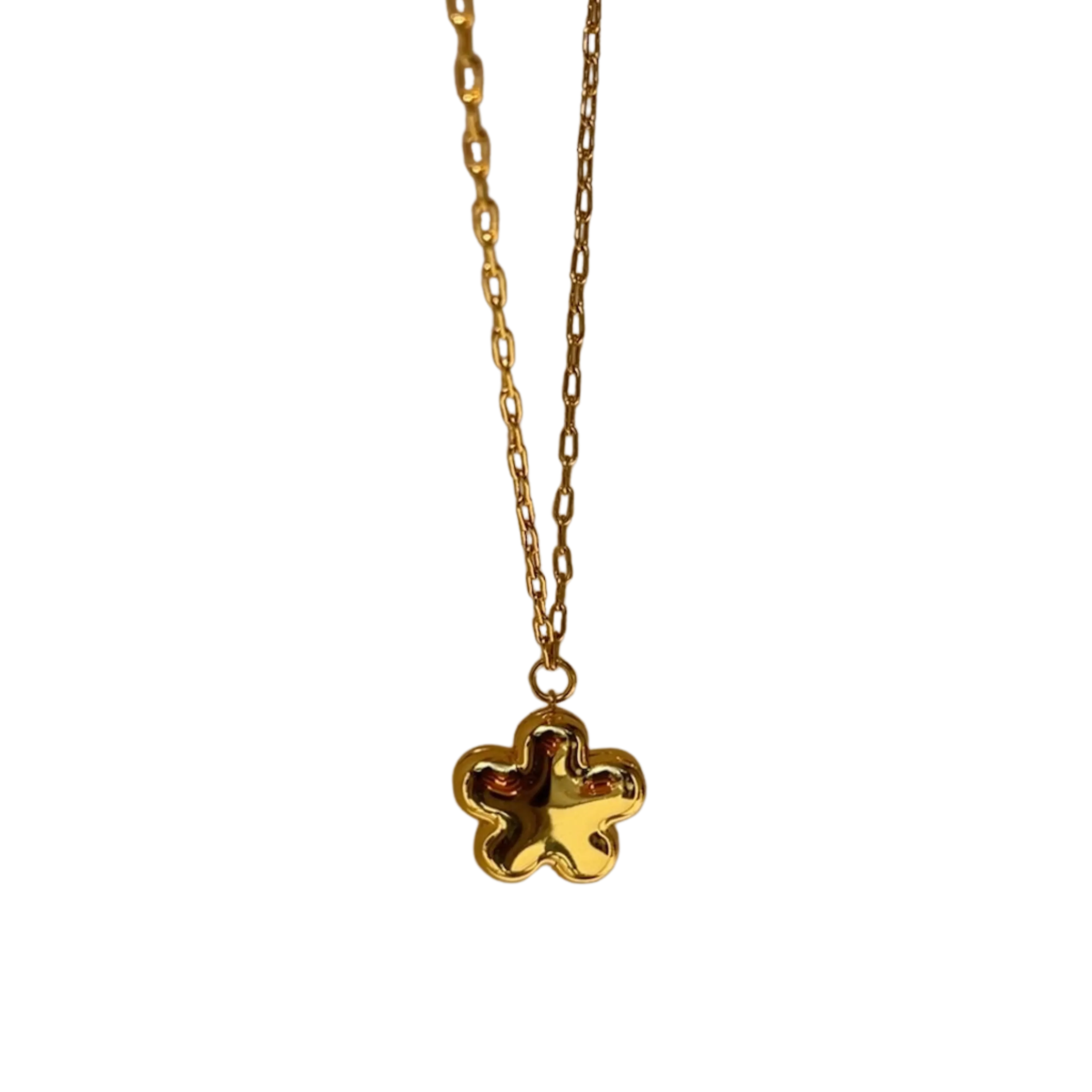 Flower Bloom Locket Necklace