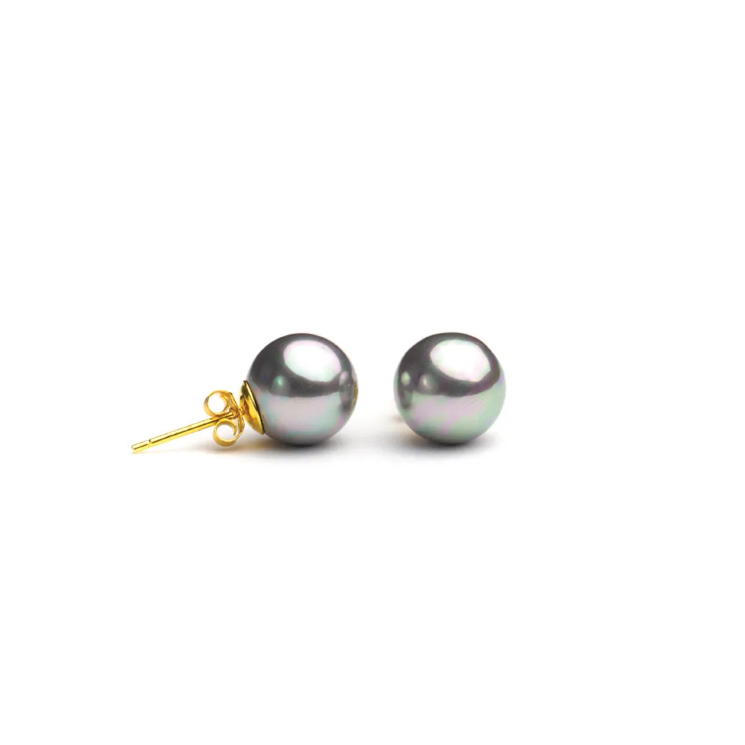 Gold Filled Shell Pearl Studs