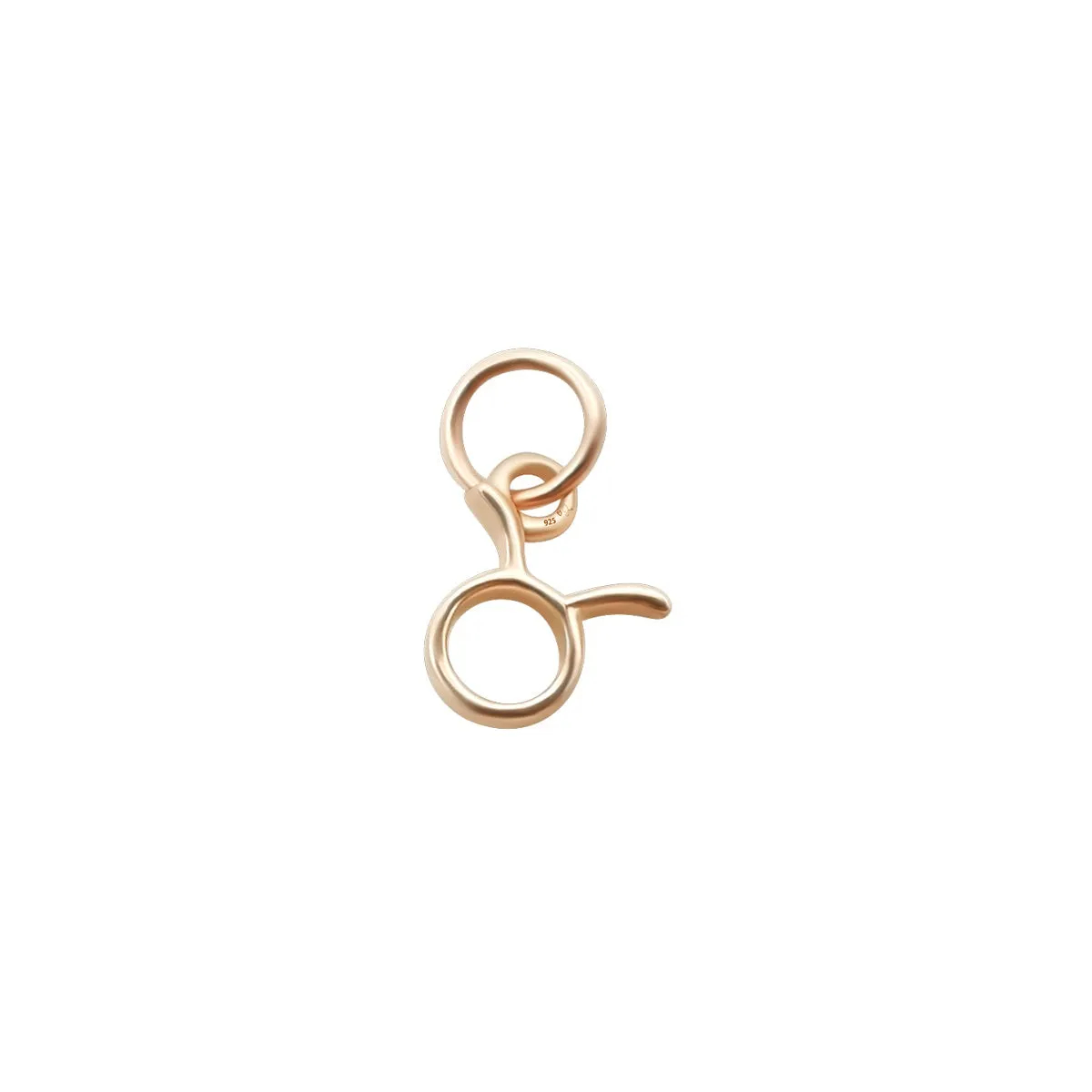 MINI ZODIAC CHARMS | Rose Gold