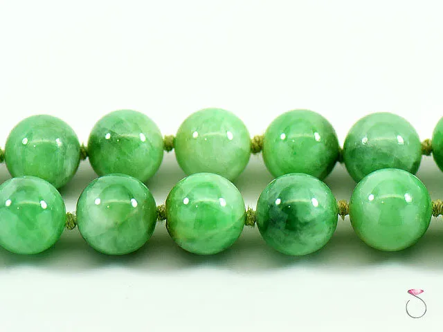 NATURAL GREEN JADE GRADUATED BEAD NECKLACE 25 INCHESCLASP