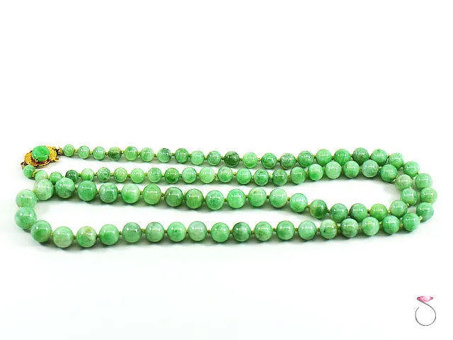 NATURAL GREEN JADE GRADUATED BEAD NECKLACE 25 INCHESCLASP
