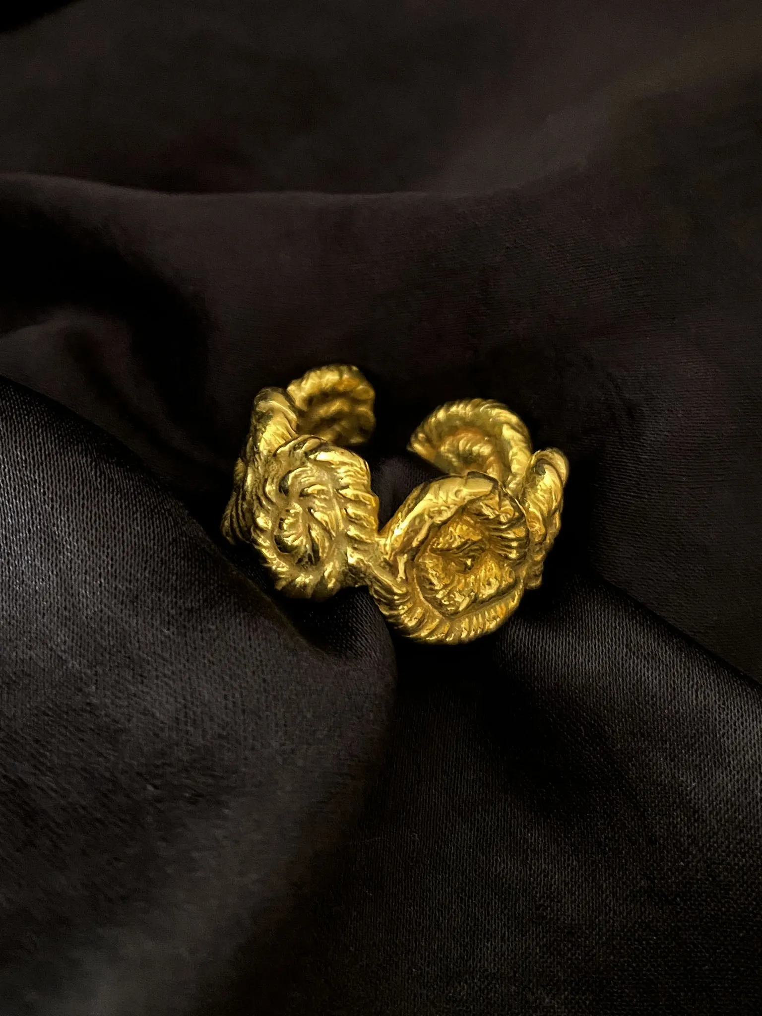 Nautilus Chunky Ring
