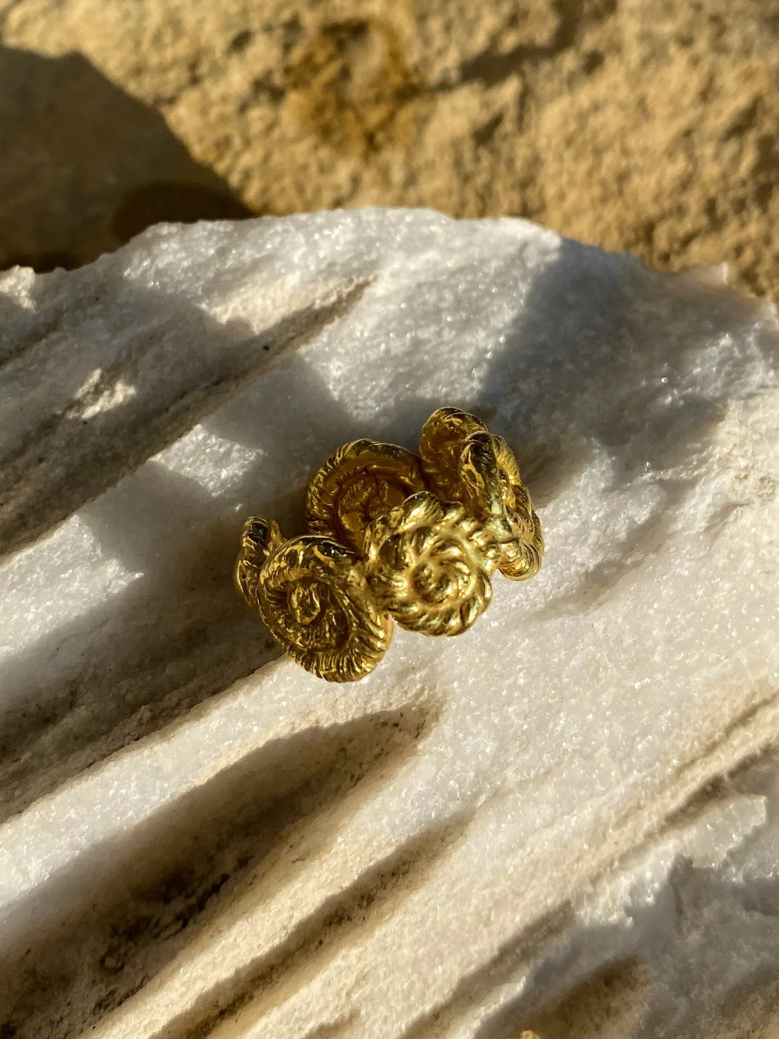 Nautilus Chunky Ring