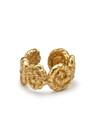 Nautilus Chunky Ring