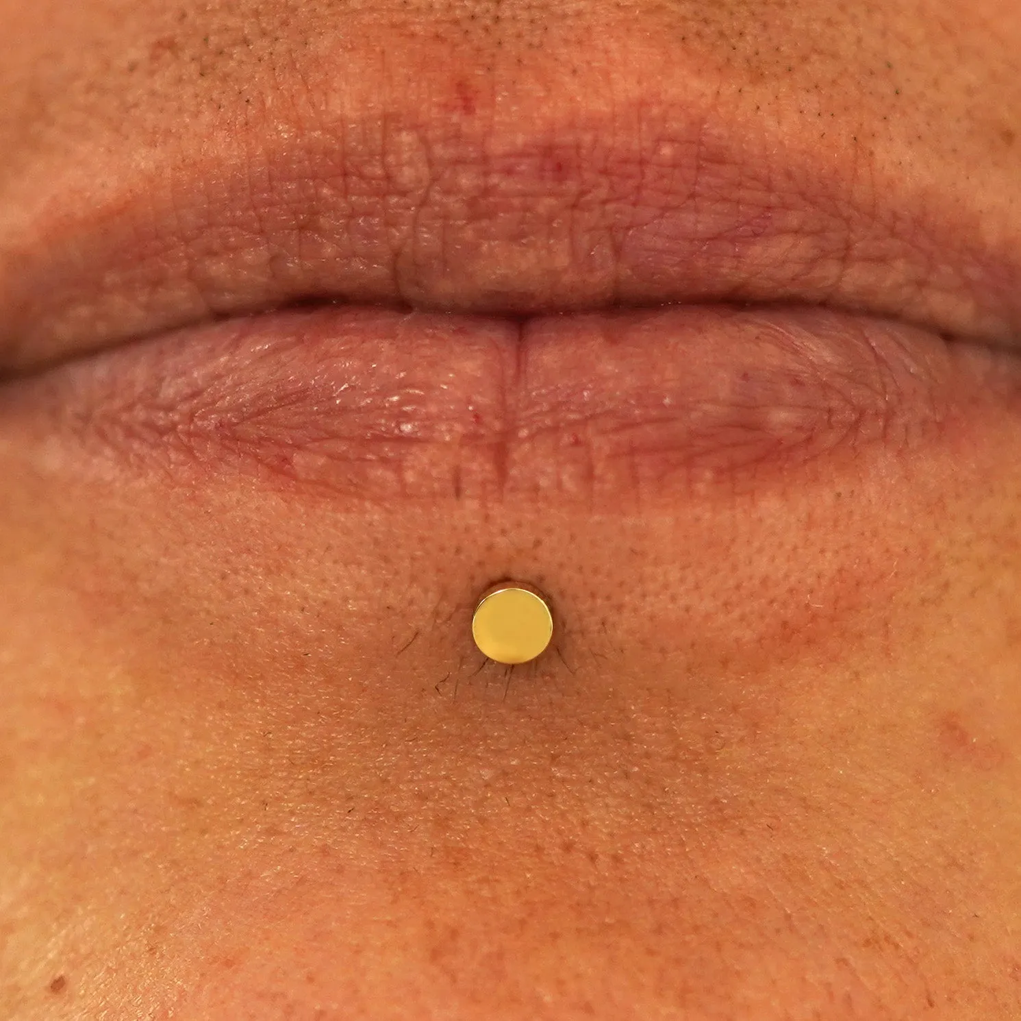 Small Circle Flatback Piercing