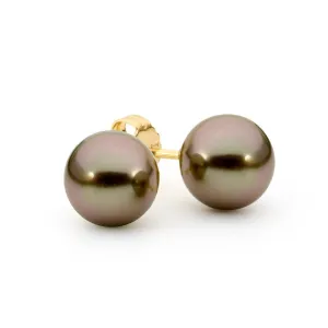 Tahitian Black Pearl Stud Earrings