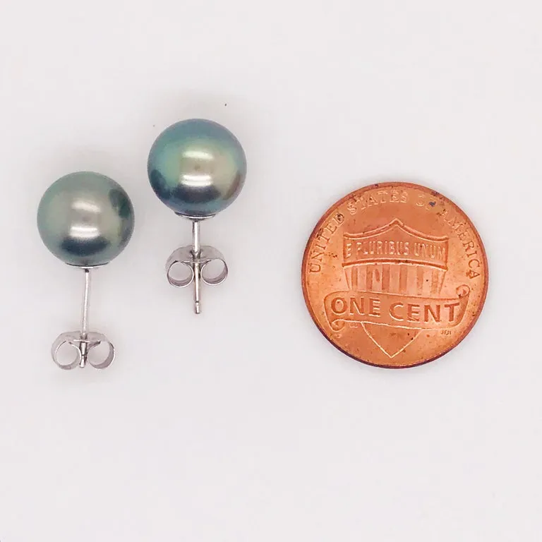 Tahitian Pearl Stud Earrings
