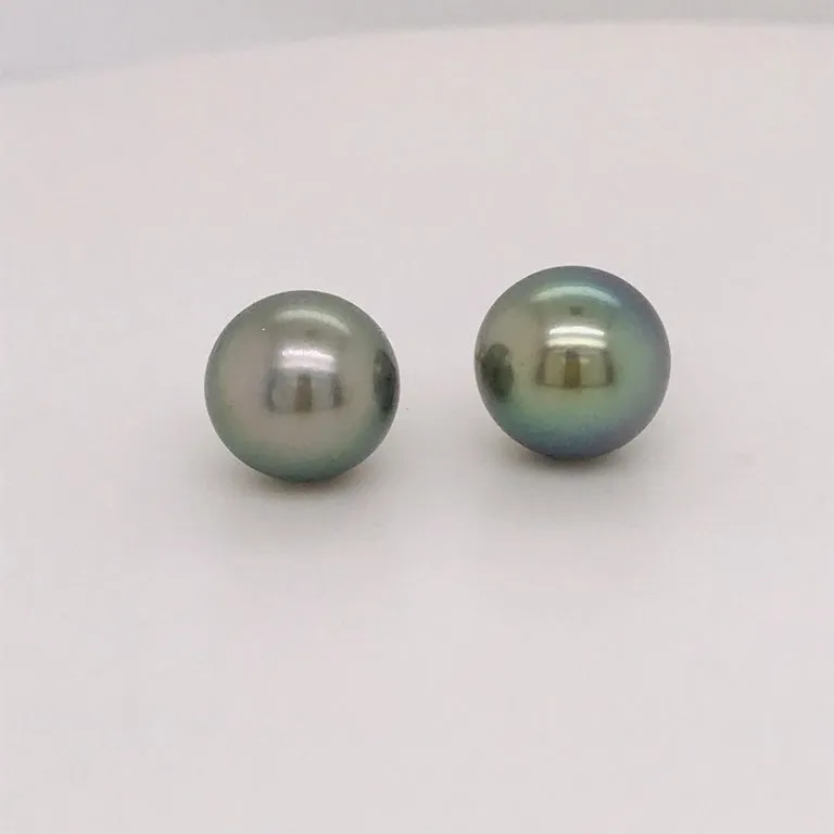 Tahitian Pearl Stud Earrings