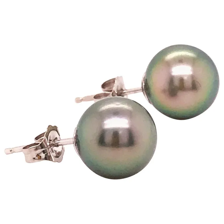 Tahitian Pearl Stud Earrings